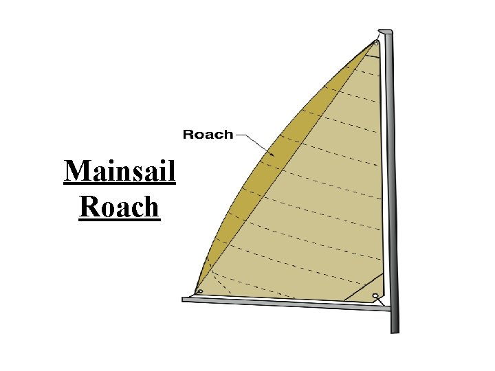 Mainsail Roach 