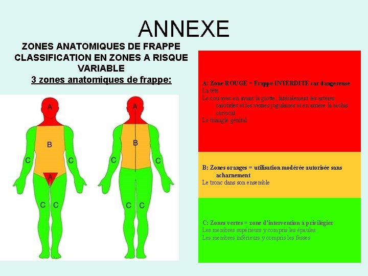 ANNEXE ZONES ANATOMIQUES DE FRAPPE CLASSIFICATION EN ZONES A RISQUE VARIABLE 3 zones anatomiques