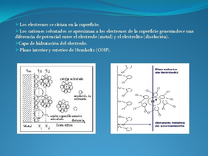 Ø Los electrones se sitúan en la superficie. Ø Los cationes solvatados se aproximan