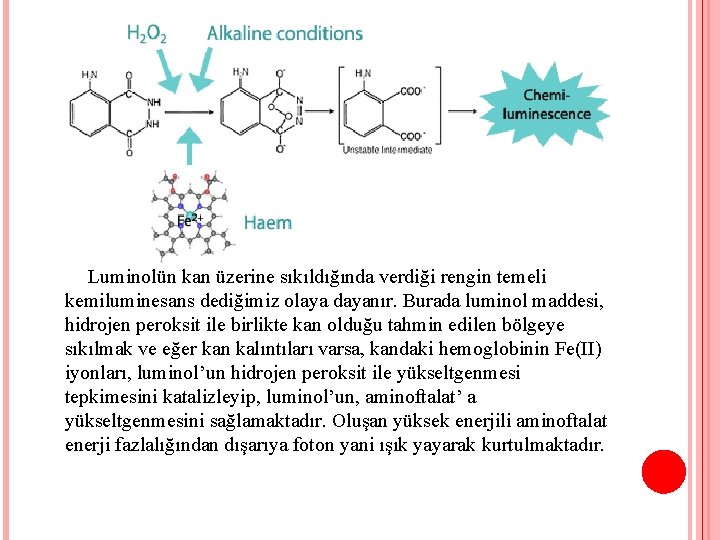 Luminolün kan üzerine sıkıldığında verdiği rengin temeli kemiluminesans dediğimiz olaya dayanır. Burada luminol maddesi,