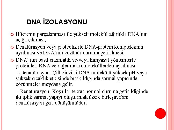 DNA İZOLASYONU Hücrenin parçalanması ile yüksek molekül ağırlıklı DNA’nın açığa çıkması, Denatürasyon veya proteoliz