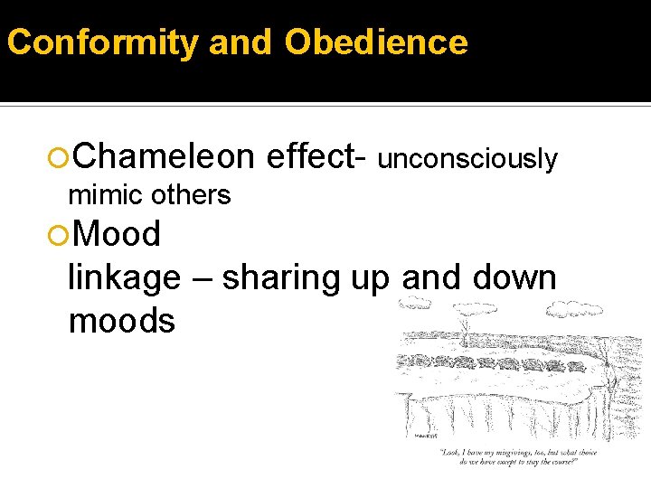 Conformity and Obedience Chameleon mimic others Mood effect- unconsciously linkage – sharing up and