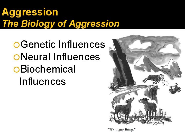 Aggression The Biology of Aggression Genetic Influences Neural Influences Biochemical Influences 