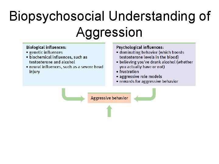 Biopsychosocial Understanding of Aggression 