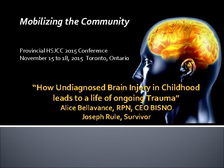 Mobilizing the Community Provincial HSJCC 2015 Conference November 15 to 18, 2015 Toronto, Ontario