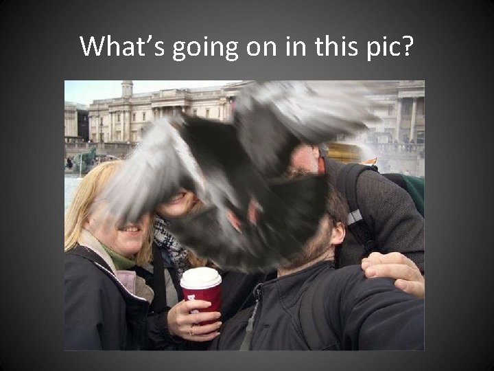 What’s going on in this pic? What’s going on in this pic?