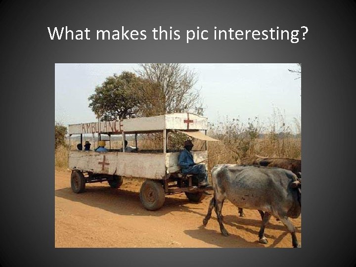 What makes this pic interesting? What makes this pic interesting?