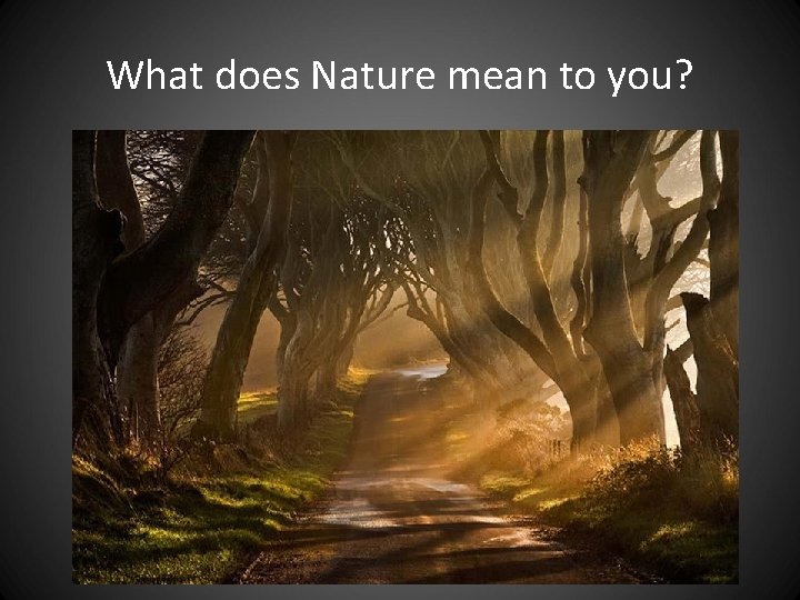 What does Nature mean to you? What does Nature mean to you?