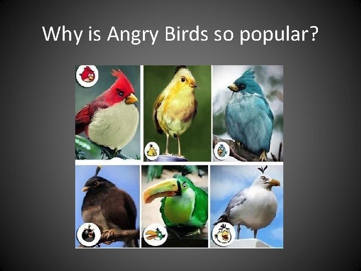 Why is Angry Birds so popular? Why is Angry Birds so popular?
