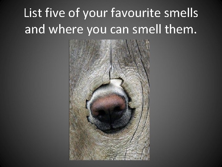 List five of your favourite smells and where you can smell them. List five of your favourite smells and where you can smell them.