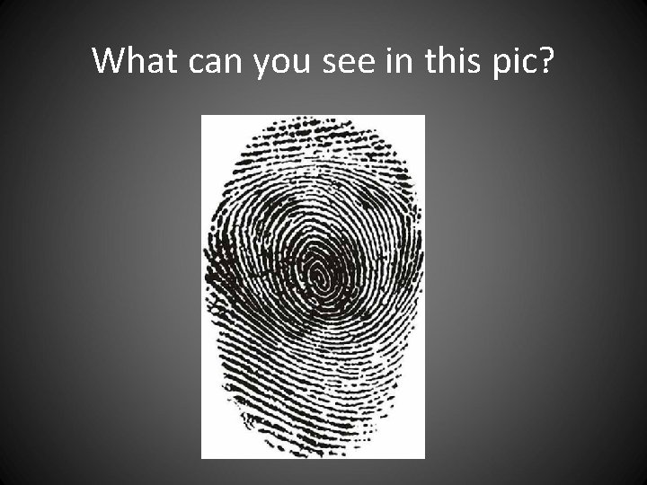 What can you see in this pic? What can you see in this pic?