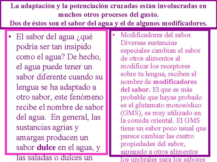 La adaptación y la potenciación cruzadas están involucradas en muchos otros procesos del gusto.