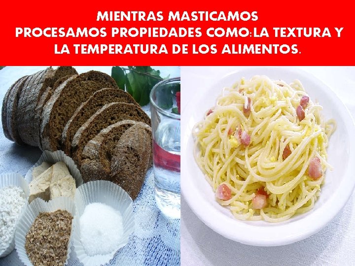 MIENTRAS MASTICAMOS PROCESAMOS PROPIEDADES COMO: LA TEXTURA Y LA TEMPERATURA DE LOS ALIMENTOS. 