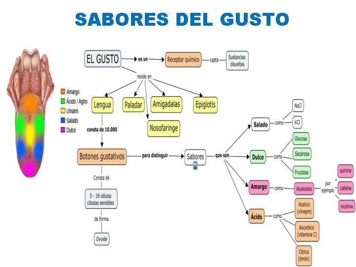 SABORES DEL GUSTO 