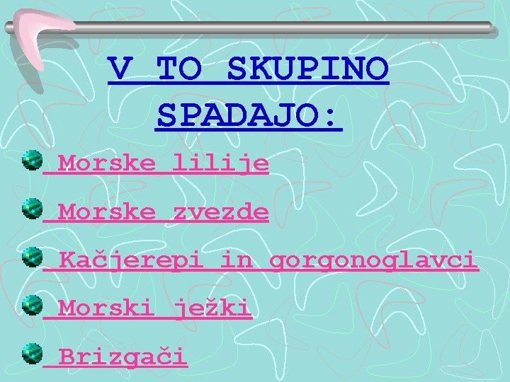 V TO SKUPINO SPADAJO: Morske lilije Morske zvezde Kačjerepi in gorgonoglavci Morski ježki Brizgači