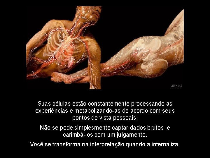 Mensch Suas células estão constantemente processando as experiências e metabolizando-as de acordo com seus