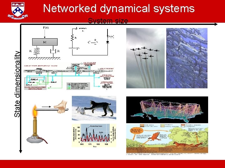 Networked dynamical systems State dimensionality System size A. Jadbabaie “ESE 680: Distributed Dynamical systems”