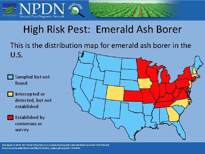 High Risk Pest: Emerald Ash Borer This is the distribution map for emerald ash High Risk Pest: Emerald Ash Borer This is the distribution map for emerald ash