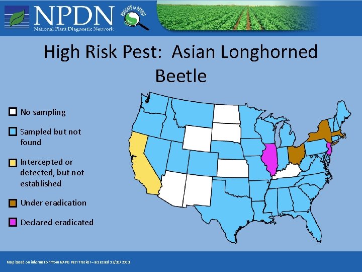 High Risk Pest: Asian Longhorned Beetle No sampling Sampled but not found Intercepted or High Risk Pest: Asian Longhorned Beetle No sampling Sampled but not found Intercepted or