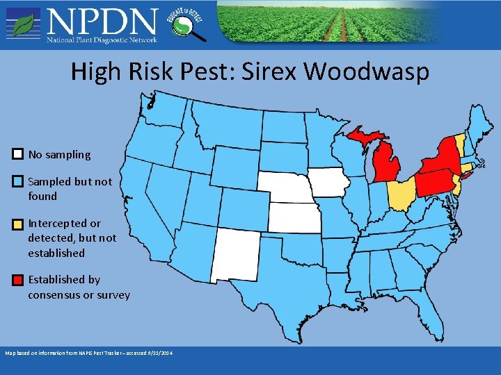 High Risk Pest: Sirex Woodwasp No sampling Sampled but not found Intercepted or detected, High Risk Pest: Sirex Woodwasp No sampling Sampled but not found Intercepted or detected,