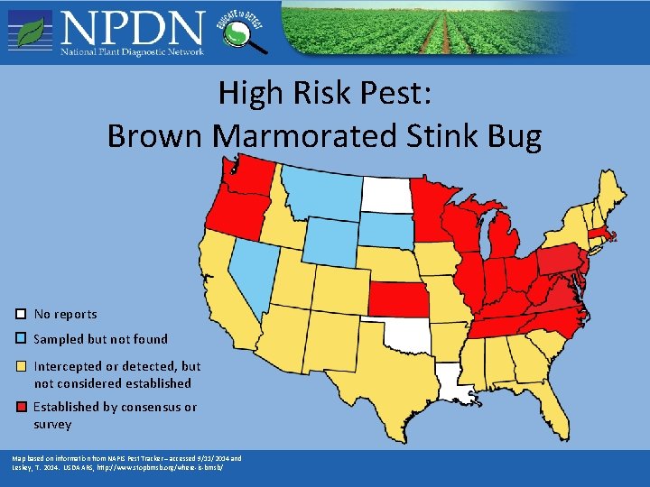 High Risk Pest: Brown Marmorated Stink Bug No reports Sampled but not found Intercepted High Risk Pest: Brown Marmorated Stink Bug No reports Sampled but not found Intercepted