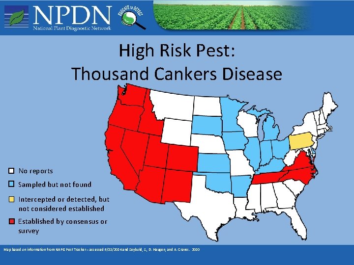High Risk Pest: Thousand Cankers Disease No reports Sampled but not found Intercepted or High Risk Pest: Thousand Cankers Disease No reports Sampled but not found Intercepted or