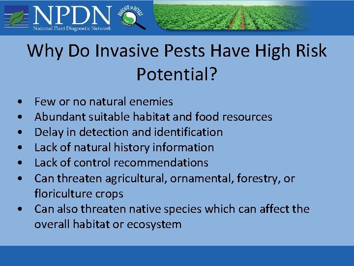 Why Do Invasive Pests Have High Risk Potential? • • • Few or no Why Do Invasive Pests Have High Risk Potential? • • • Few or no