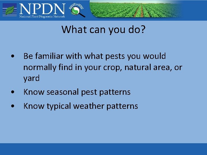What can you do? • Be familiar with what pests you would normally find What can you do? • Be familiar with what pests you would normally find
