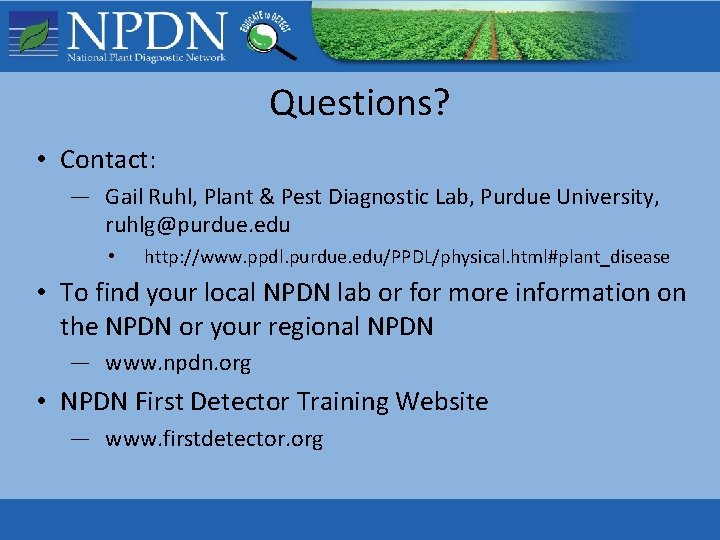 Questions? • Contact: — Gail Ruhl, Plant & Pest Diagnostic Lab, Purdue University, ruhlg@purdue. Questions? • Contact: — Gail Ruhl, Plant & Pest Diagnostic Lab, Purdue University, ruhlg@purdue.
