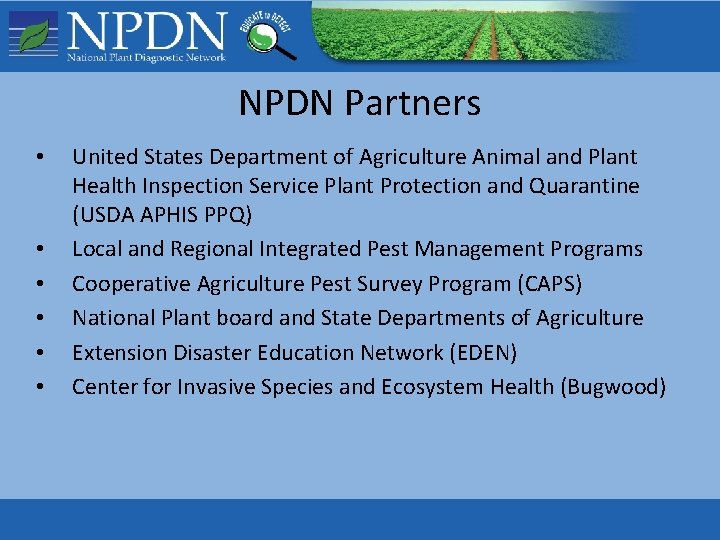NPDN Partners • • • United States Department of Agriculture Animal and Plant Health NPDN Partners • • • United States Department of Agriculture Animal and Plant Health