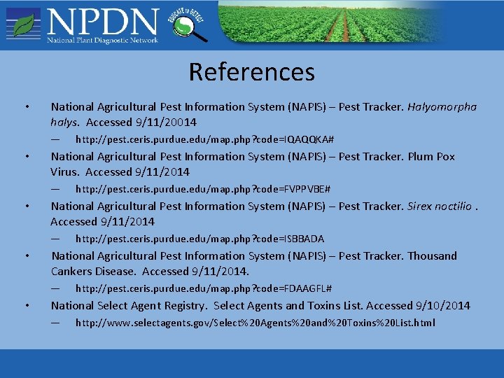 References • National Agricultural Pest Information System (NAPIS) – Pest Tracker. Halyomorpha halys. Accessed References • National Agricultural Pest Information System (NAPIS) – Pest Tracker. Halyomorpha halys. Accessed