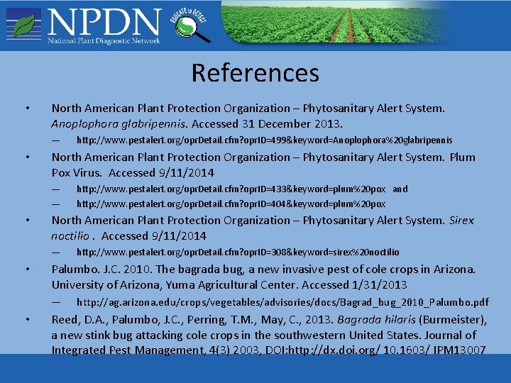 References • North American Plant Protection Organization – Phytosanitary Alert System. Anoplophora glabripennis. Accessed References • North American Plant Protection Organization – Phytosanitary Alert System. Anoplophora glabripennis. Accessed
