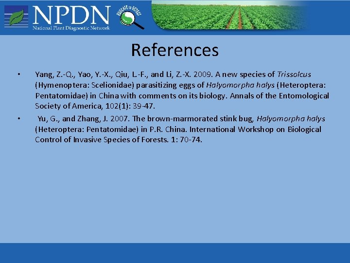 References • • Yang, Z. -Q. , Yao, Y. -X. , Qiu, L. -F. References • • Yang, Z. -Q. , Yao, Y. -X. , Qiu, L. -F.