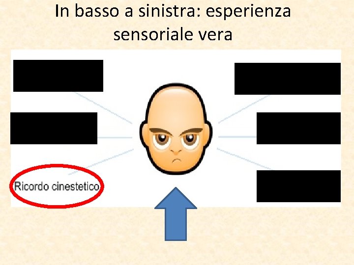 In basso a sinistra: esperienza sensoriale vera 