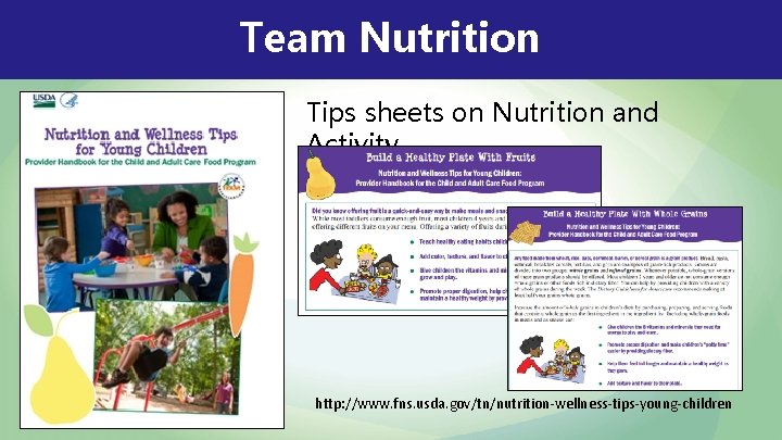 Team Nutrition Tips sheets on Nutrition and Activity http: //www. fns. usda. gov/tn/nutrition-wellness-tips-young-children 