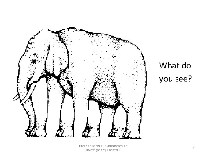 What do you see? Forensic Science: Fundamentals & Investigations, Chapter 1 4 