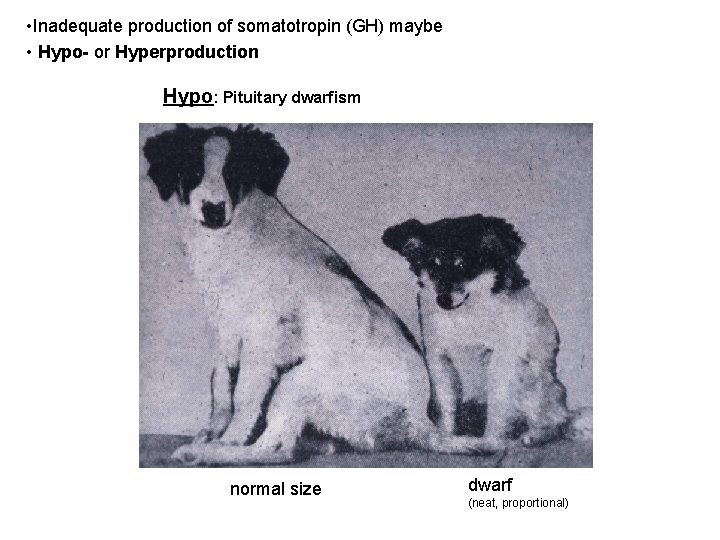  • Inadequate production of somatotropin (GH) maybe • Hypo- or Hyperproduction Hypo: Pituitary