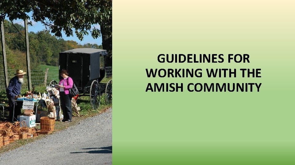 GUIDELINES FOR WORKING WITH THE AMISH COMMUNITY 