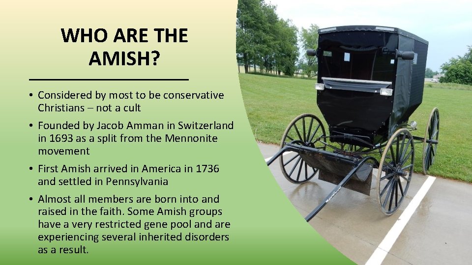 WHO ARE THE AMISH? • Considered by most to be conservative Christians – not