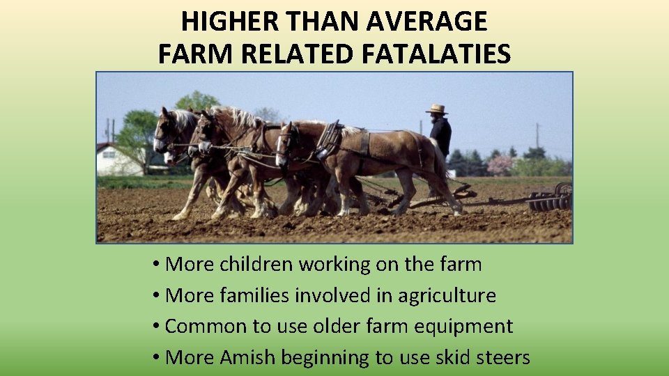 HIGHER THAN AVERAGE FARM RELATED FATALATIES • More children working on the farm •
