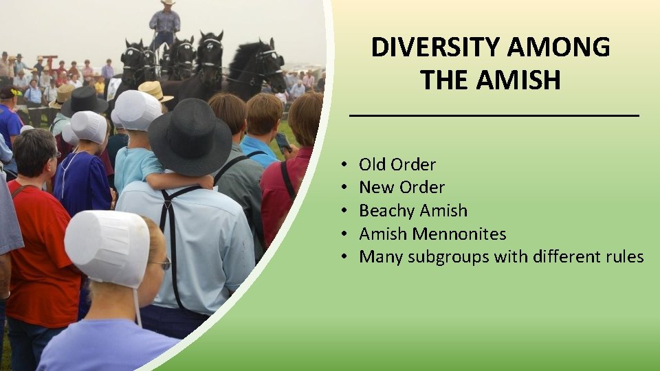 DIVERSITY AMONG THE AMISH • • • Old Order New Order Beachy Amish Mennonites