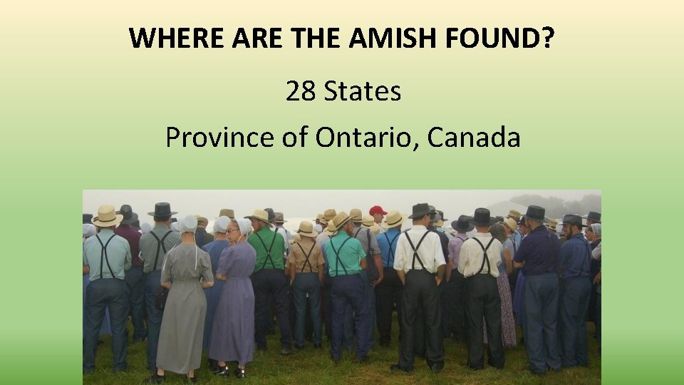 WHERE ARE THE AMISH FOUND? 28 States Province of Ontario, Canada 