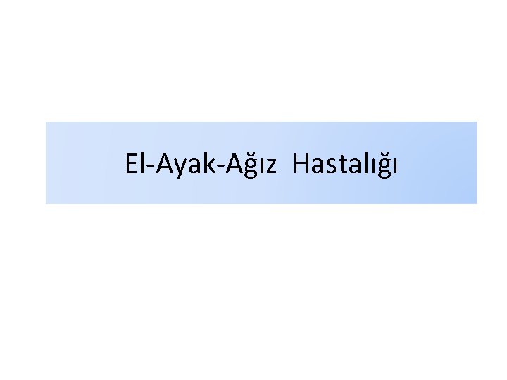 El-Ayak-Ağız Hastalığı El-Ayak-Ağız Hastalığı