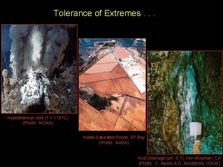 Tolerance of Extremes. . . Hydrothermal Vent (T = 115 ºC) (Photo: NOAA) Halite-Saturated