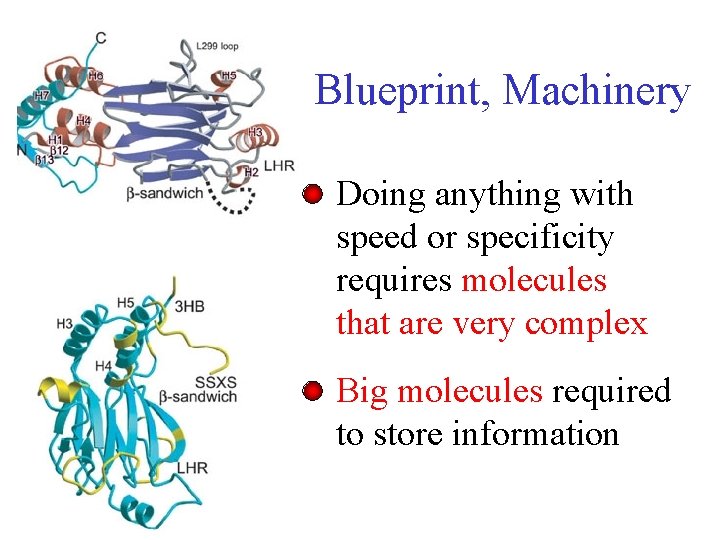 Blueprint, Machinery Doing anything with speed or specificity requires molecules that are very complex