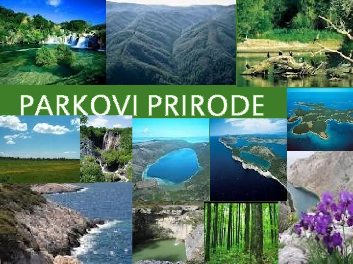 PARKOVI PRIRODE 