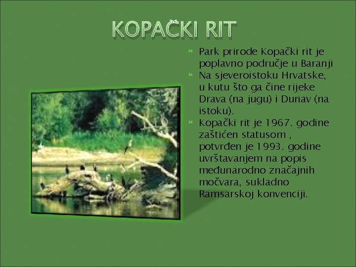 KOPAČKI RIT Park prirode Kopački rit je poplavno područje u Baranji Na sjeveroistoku Hrvatske,