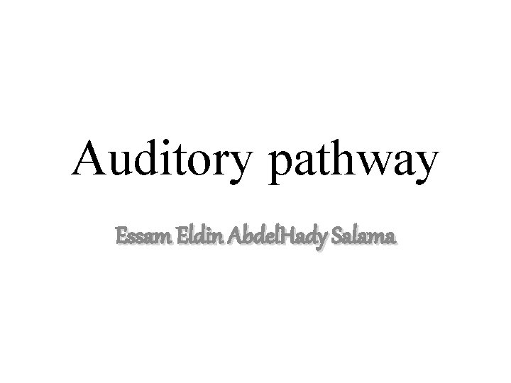 Auditory pathway Essam Eldin Abdel. Hady Salama 