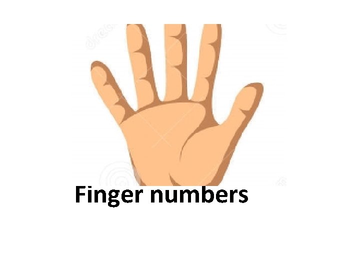Finger numbers 