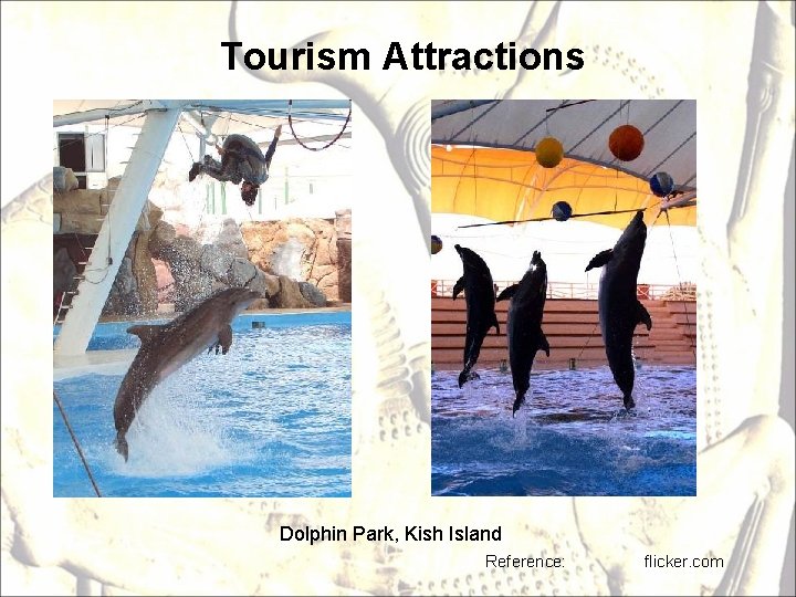 Tourism Attractions Dolphin Park, Kish Island Reference: flicker. com 